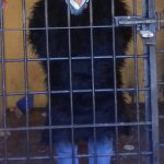 190E6201-2EBF-490D-ABBE-8443D5E10329